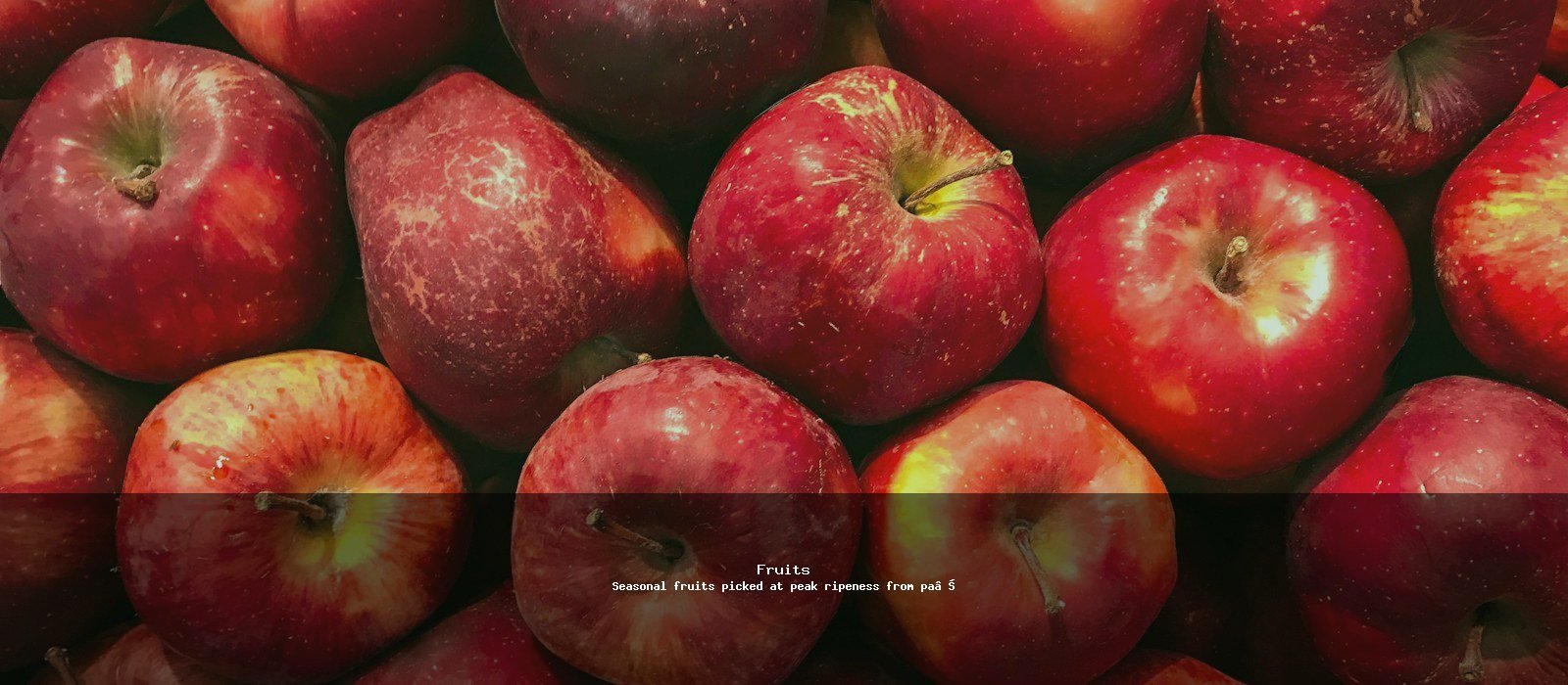 Fruits